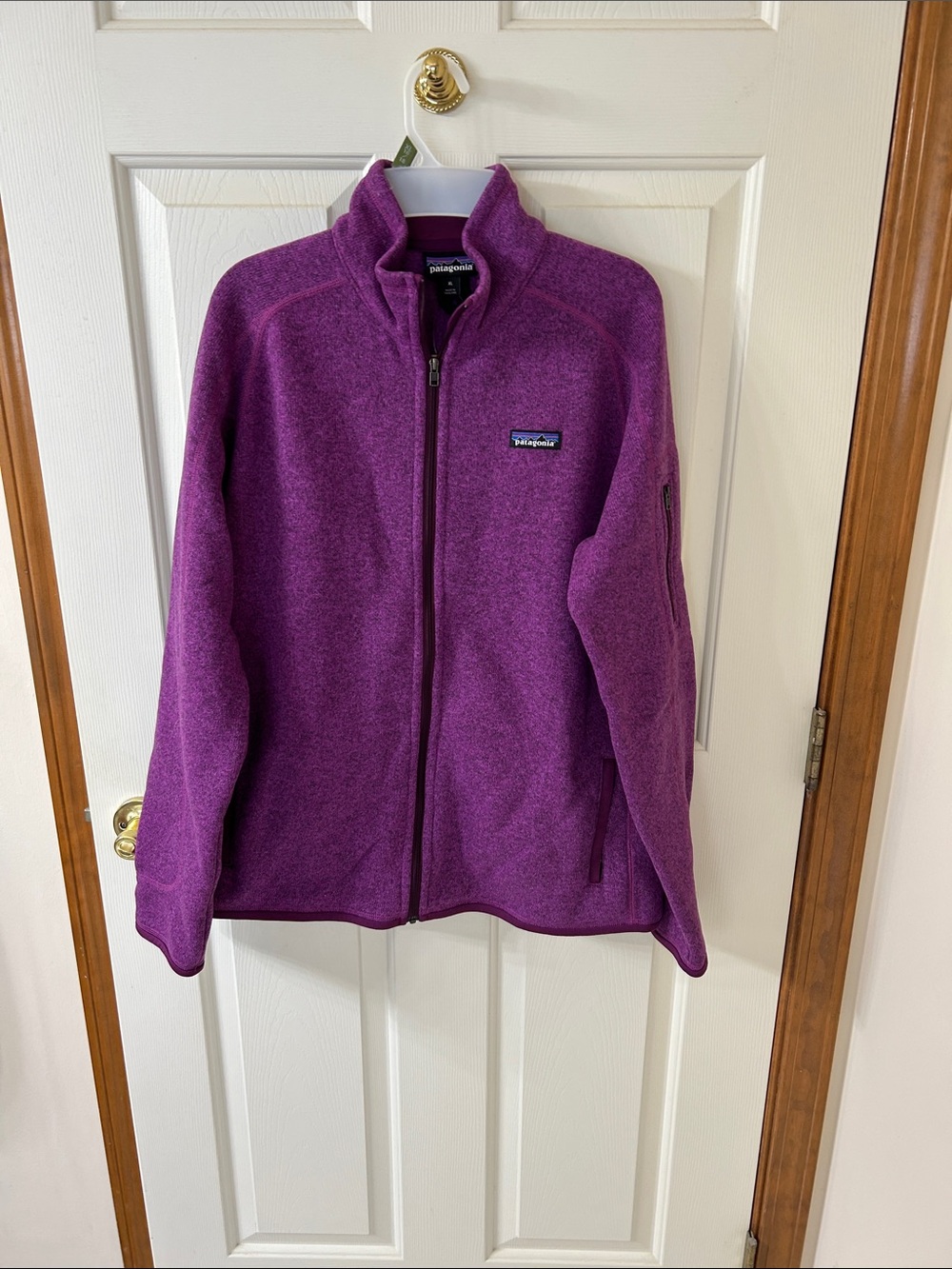 Patagonia Women's Plum Zip-Up Teddy Fleece Jacket